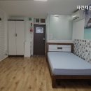 파란채원룸텔