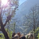 파니 게스트하우스 | 안나푸르나 트레킹 4일차 | 타다파니 → 촘롱 → 시누와(12km, 약 7시간) ②