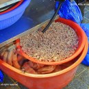 백암왕족발 이미지