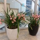 일지 브레인 아트 갤러리 카페 이미지