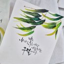 플러스펜 수채화 캘리그라피 | 플러스펜수채화.플러스펜수채화수업.플러스펜수채화...산본역.안양.군포.평촌.안산.의왕캘리그라피