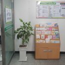 거제1동 행정복지센터 이미지