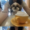 포겟미낫스위츠