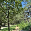 신안평거녹지 이미지