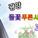 샤론 교회