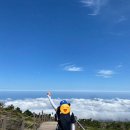 교차공인중개사사무소 이미지