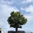 청포목장 이미지