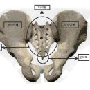 선골과 미려혈 위치 이미지