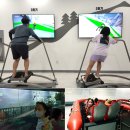 광치농장 | 태백고원자연휴양림 - 휴가.EP5