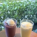 지에스25 대전대학로점 | 대전 카레스프 맛집 : 카리코 충남대점