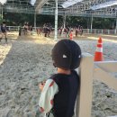 건영승마장 이미지