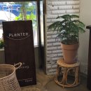 플렌터(Planter) 이미지