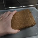 비포레스트