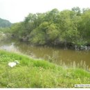 중흥 낚시터 이미지