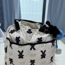 와이엠 바이오 이미지