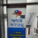 그린탁구교실