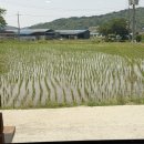 (주)일뚝집 | 서산 현지인 맛집 풍전뚝집 | 한 숟갈 먹고 반한 내돈내산 솔직 후기