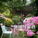 소로3-54 | 경기도 광주 가볼만한곳 여름 수국 명소 율봄식물원