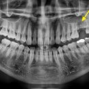 서울굿닥터치과의원 이미지