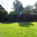 킹스통나무 이미지