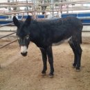 태산농장1 이미지