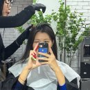 세왕판매서비스 | 부평두피케어 탈모전문 ‘헤어나올수없어’ : 카르테리 프로그램 관리 후기🔥