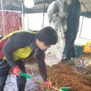 삼공주농장 이미지