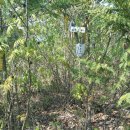 황산면사무소 이미지