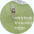 멍펜션5 이미지