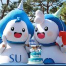 성신비전스쿨도서관 이미지