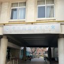 상해사범대학교 학사원 유학생 기숙사 /통금시간/가격/위치/솔직후기 (2023.3기준)