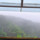 더플라워펜션 이미지