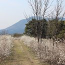 미선농장 이미지