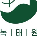 한식 디저트 이미지