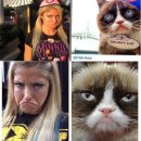 블리스캣 이미지