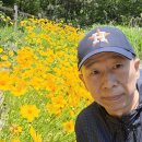 호흡 시스템의 올바른 이해-고른 호흡과 고른 마음 이미지