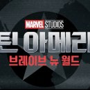 캡틴 아메리카4 브레이브 뉴 월드 솔직 후기 (쿠키, 마블 추락?)