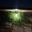 스튜디오 월영 이미지