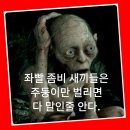 지금 이시각 시내 도로상황 ~~ 방역팀은 어찌 됏나 "" 이미지