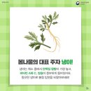 봄내음