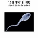 정자슈퍼 - 김천시 | 정자슈퍼