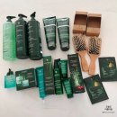 두피관리 르네휘테르 샴푸, 트리트먼트, 컨디셔너, 두피세럼 포티샤 에스트라 트리파직 내돈내산 사용 후기