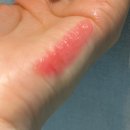 756 | 샤넬 루쥬 코코 밤 샤인 756 체리버스트 발색 후기(촉촉한 데일리 립)