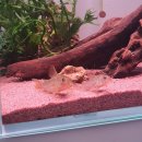 코리아카 이미지