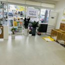토리펫 네이버블로그