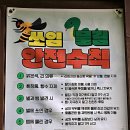 산모퉁이그곳 | 치악산 맨발십리길에서 챌린지업하다. 마음이 치유되는 서울숲맨발걷기학교 5주년 기념 사전 답사 후기