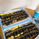 김밥여행 이미지