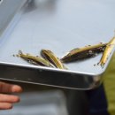 인제중학교 이미지