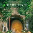 행운냥이 이미지