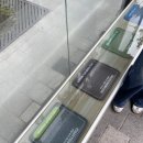 6월 제주도 여행 - 1 (비자림, 동문시장, 우도 1박 2일 후기, 집아페, 금호정육점, 릴로)